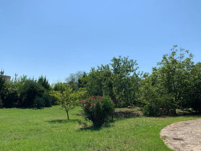Villa Olivia