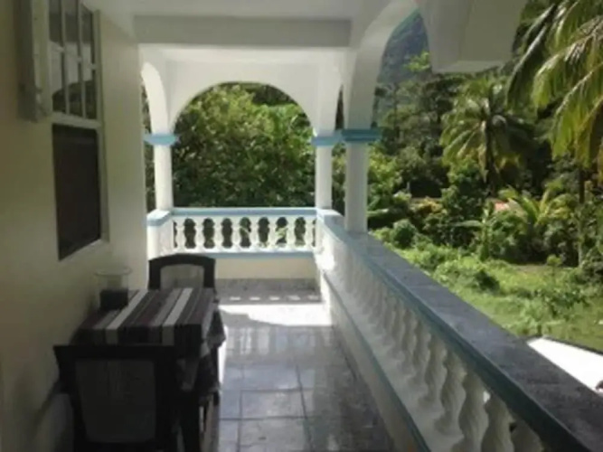 The Jungle Room