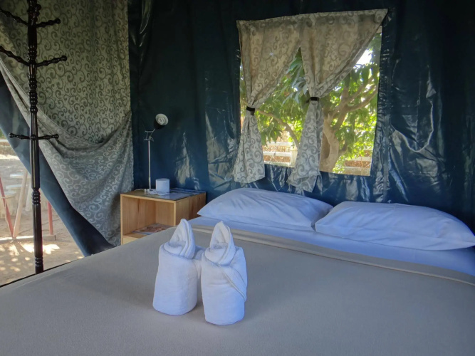 The Camping Field