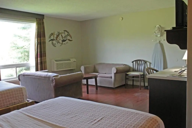 Standard Suite