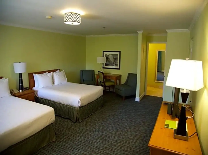 Deluxe Double room with view