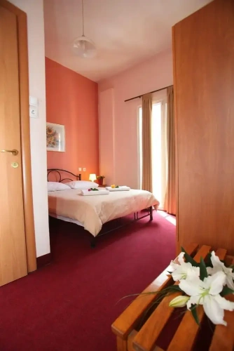Standard Double room with balcony and with view