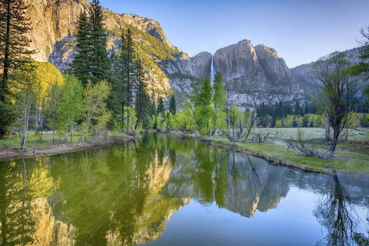 Inside Yosemite Spring Wonderland