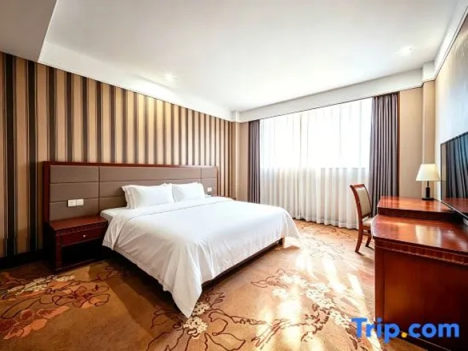 Comfort Family Suite