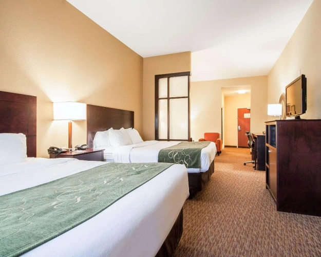 Quadruple Suite