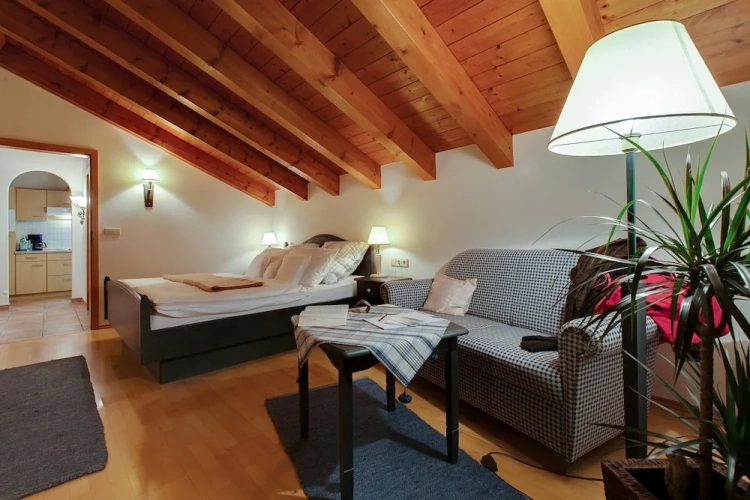 1 Bedroom Apartment with balcony