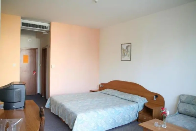 Standard Double room with balcony and with sea view