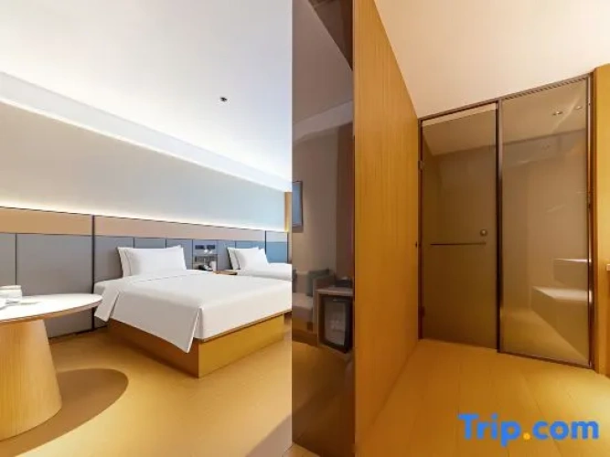 Executive Twin room with city view