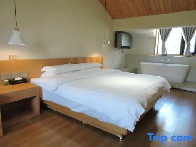 Family Duplex Suite