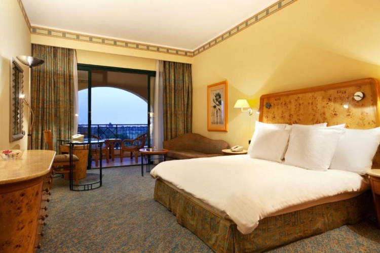 Safari Executive Suite