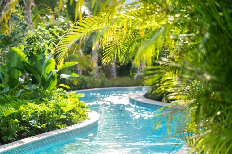 The Ritz-Carlton Golf Resort, Naples photo 13
