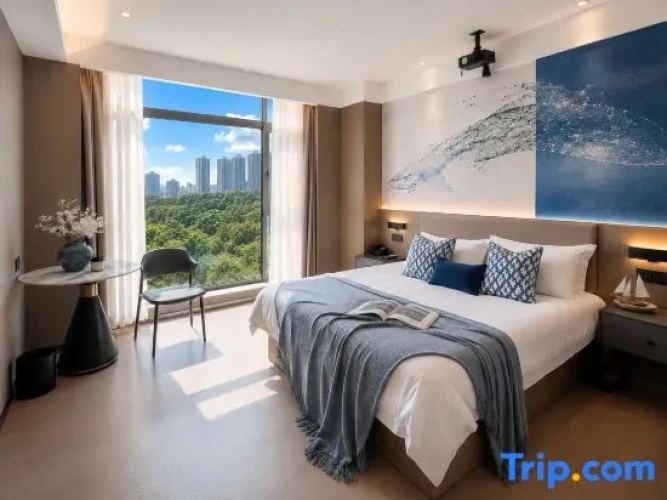 Standard Double room with city view