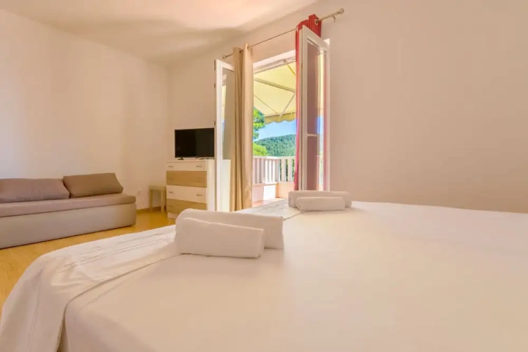 Standard Double Apartment with balcony