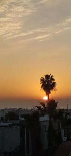 Sunset House