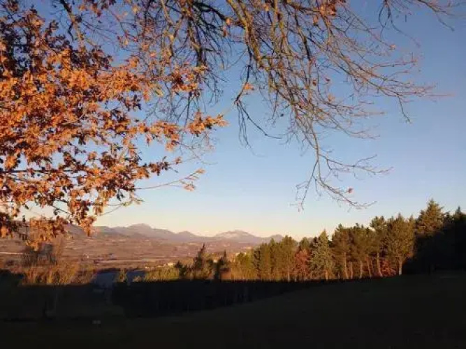 Anthoria B&B-Monolocale