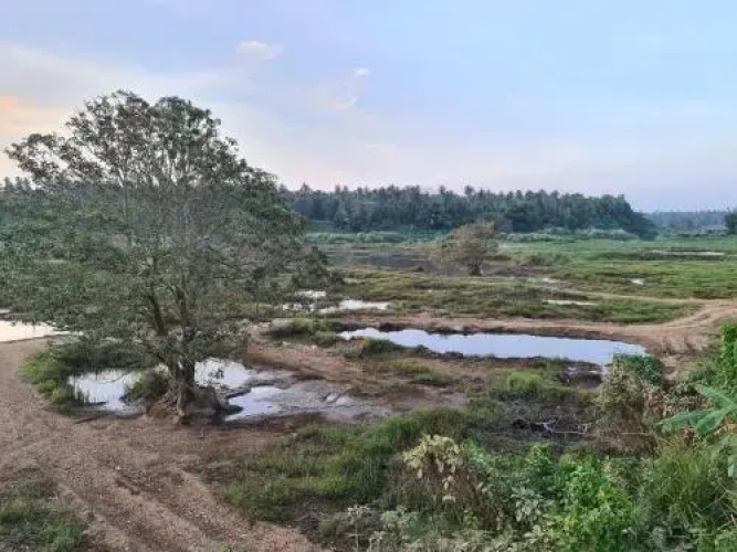 Araliya Holiday Bungalow