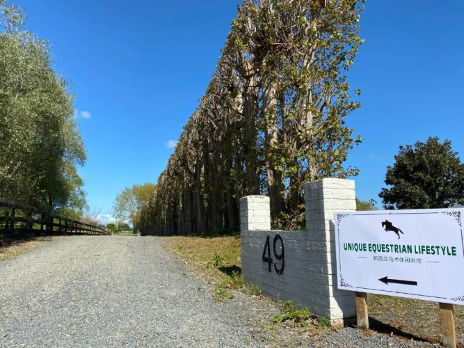 Unique Equestrian Lifestyle