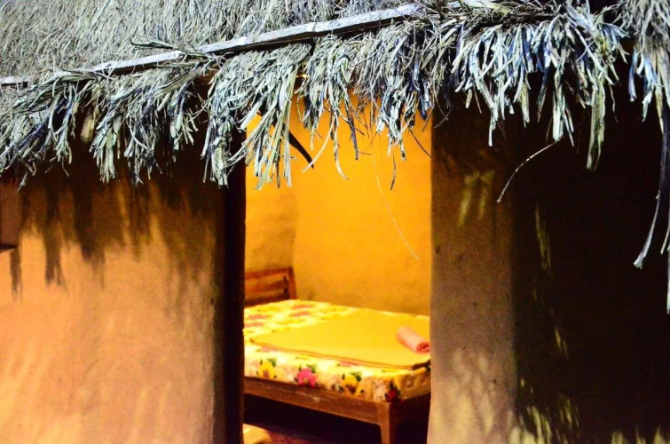 Kerala Wild Stay