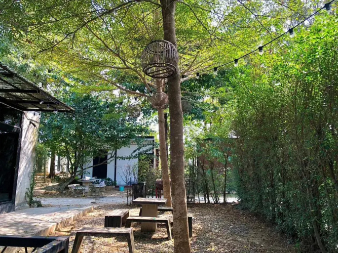 The State Resort