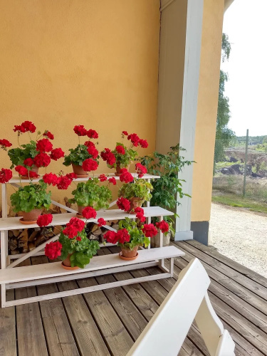 Polhem Bed & Breakfast