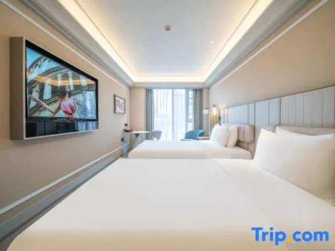 Deluxe Twin room with city view