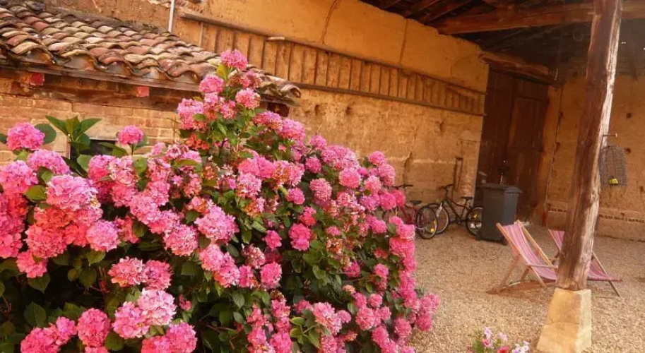 Bed & Breakfast - Maison de Marie