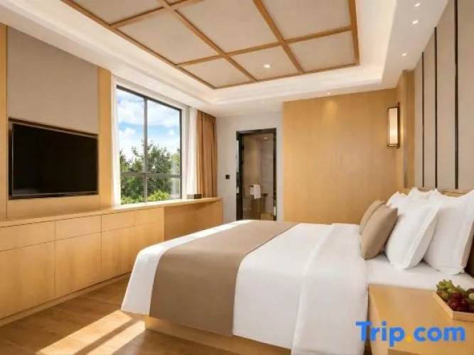 Standard Double room with city view