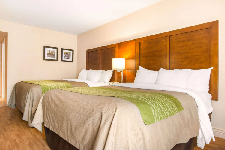 Comfort Inn & Suites photo 8