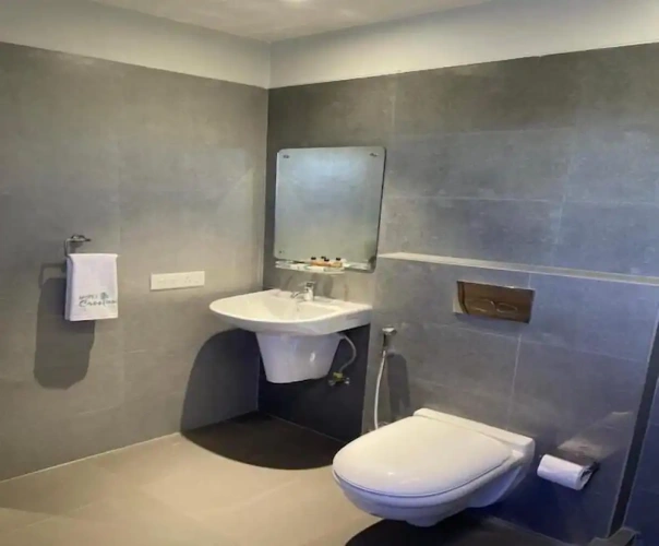 Superior Double room with city view