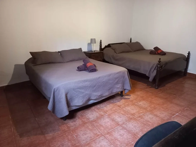 Classic Apartment