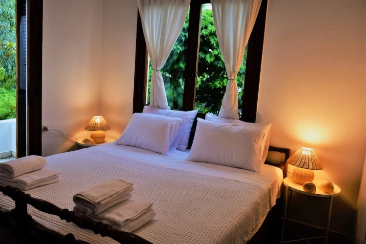 Luxury Apartment