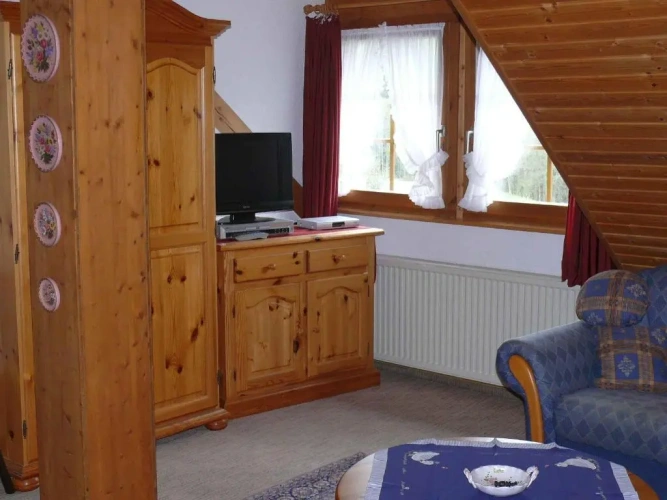 Duplex Apartment