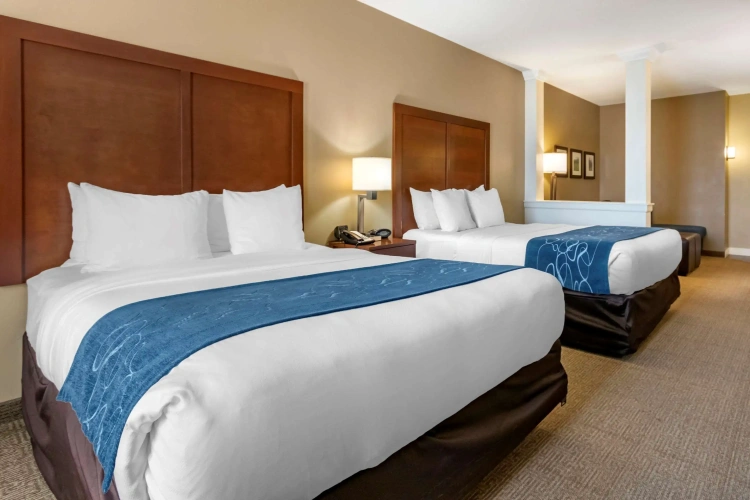 Quadruple Suite