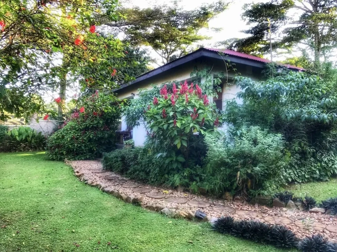 Deluxe Cottage