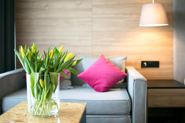 Baltin Hotel & SPA ****