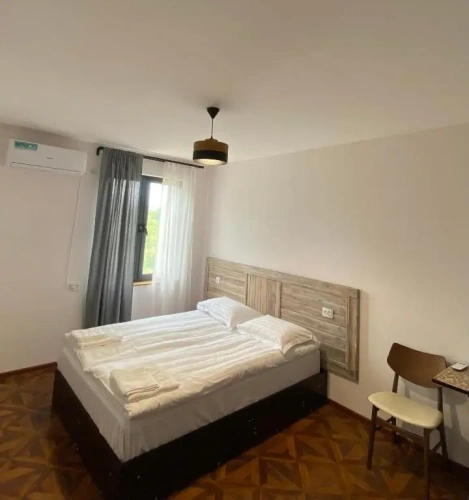 Standard Double room with mountain view