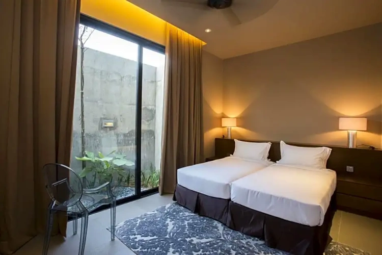 Deluxe Twin room with view