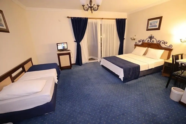 Standard Triple room with balcony and with land view