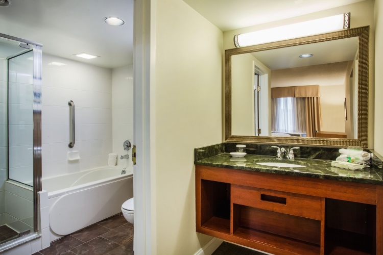 Holiday Inn Saratoga Springs photo 29