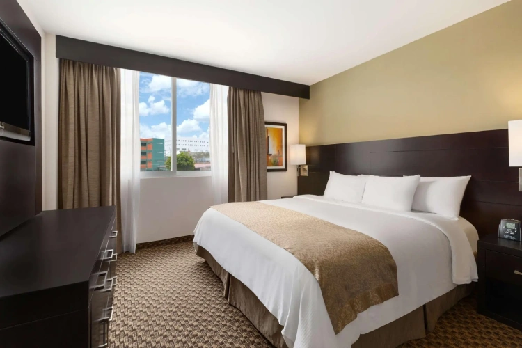 1 Bedroom Double Suite