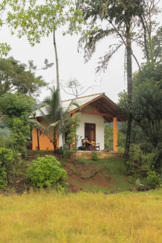 Forest & Fields Sinharaja