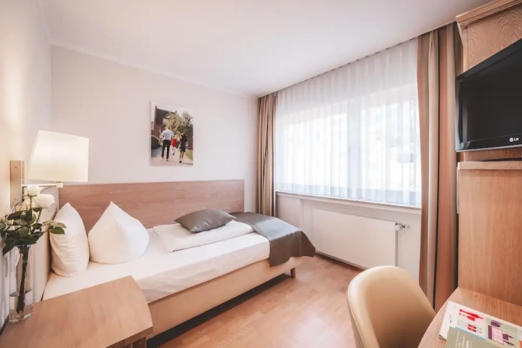 Standard Double room with balcony and with view