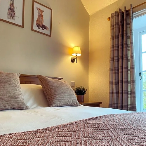 Standard Double room with garden view