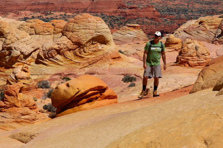 Best Western View of Lake Powell Hotel photo 30