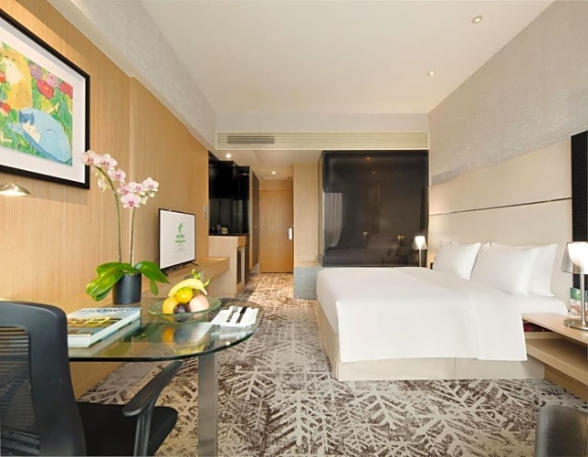Premium Lounge Access Bath Shower Combination Double room