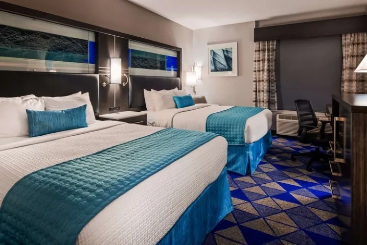 1 Bedroom Standard Double room