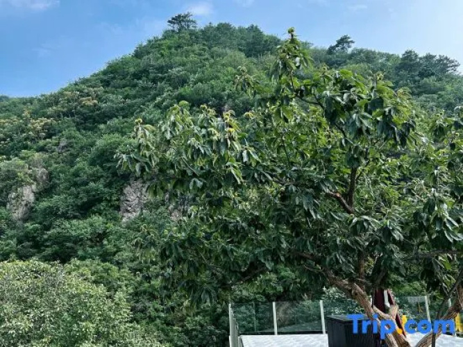Xishang Homestay