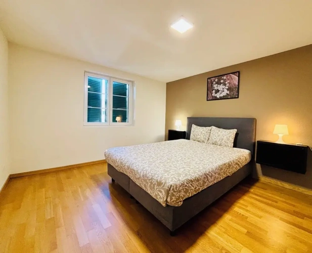 Comfort Apartment