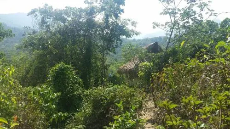 Minca Glamping