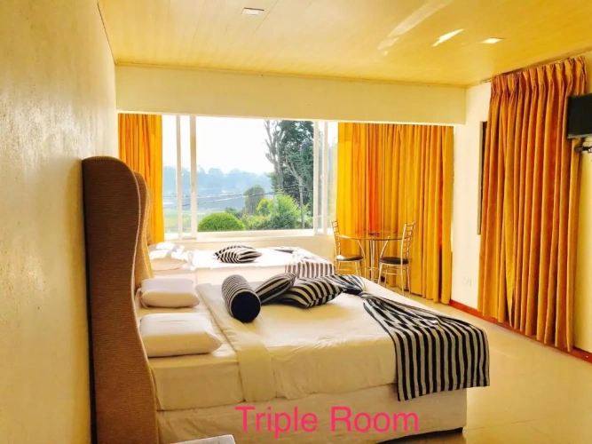 Standard Double room with view